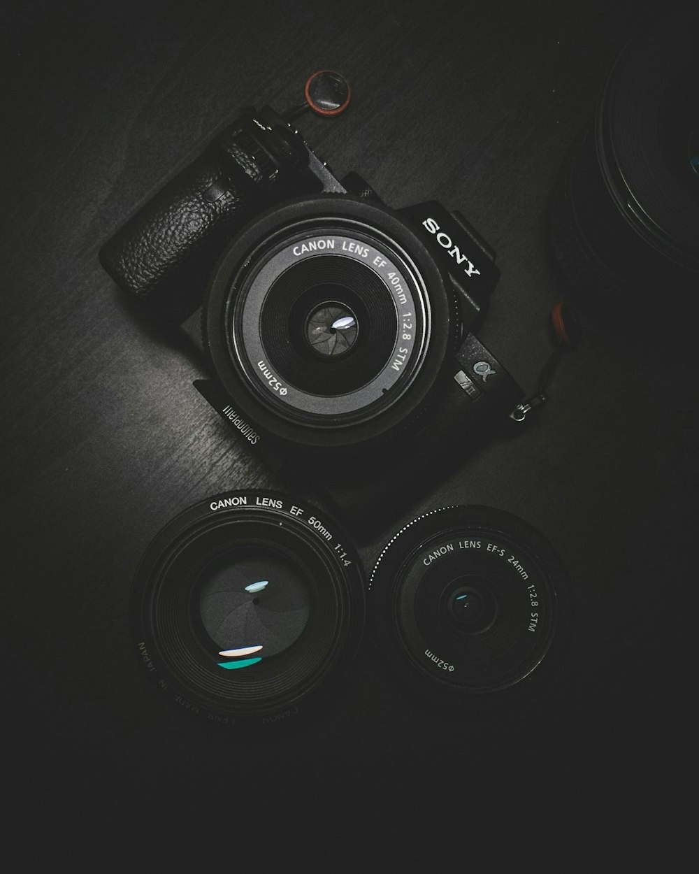 Fotografia Professionale